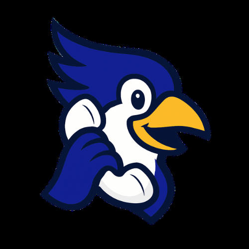 CallBird logo