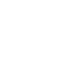 fylm.ai logo