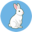 marpy.io logo