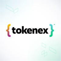 TokenEx PCI Platform logo